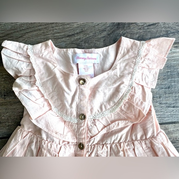 Tommy Bahama Baby Girl Pink Dress Size 3T - Picture 3 of 9